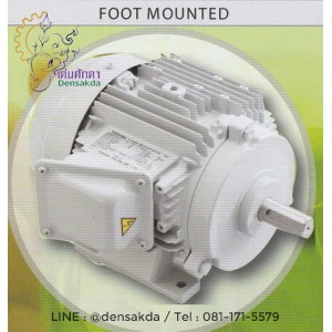 **มอเตอร์โตชิบา TOSHIBA แบบขาตั้ง 3000 รอบ 0.5 แรงม้า รุ่น FT2-0.5HP-L **มอเตอร์โตชิบา TOSHIBA แบบขาตั้ง 3000 รอบ 0.5 แรงม้า รุ่น FT2-0.5HP-L