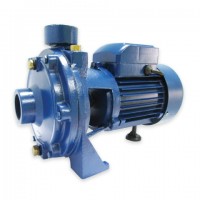 ปั๊มน้ำ - ปั้มน้ำใบพัดคู่ 1,100 วัตต์ 1.5 แรงม้า (2TCPM-140)