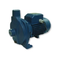 ปั๊มน้ำ - ปั๊มน้ำหน้าใหญ่ 1 นิ้ว 750 วัตต์ (TCPM-158B)