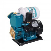 ปั๊มน้ำ - ปั๊มน้ำอัตโนมัติ 1 นิ้ว 370 วัตต์ (PS150(B))