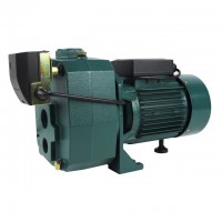 ปั๊มน้ำ - ปั๊มน้ำเจ็ทคู่ ออโต้ 1,100 วัตต์ 1.5 แรง (DP1100W-AUTO)