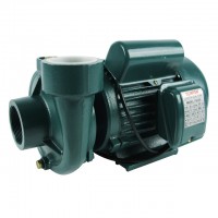 ปั๊มน้ำ - ปั๊มน้ำแบบไต้หวัน 2 นิ้ว 2 แรง (PX-205)