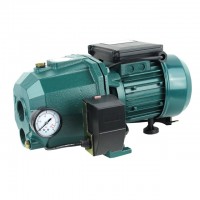 ปั๊มน้ำเจ็ทคู่ ออโต้ 750 วัตต์ 1 แรง (DP750W-AUTO)