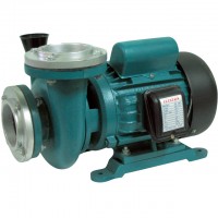 ปั๊มน้ำแบบไต้หวัน - ปั๊มน้ำแบบไต้หวัน 3 นิ้ว 3 แรง (PX207)