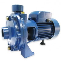 ปั๊มน้ำใบพัดคู่ - ปั้มน้ำใบพัดคู่ 1,500 วัตต์ 2 แรงม้า (2TCPM-160)