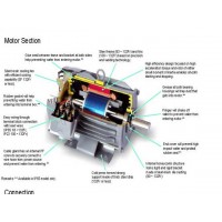 **มอเตอร์มิตซูบิชิ 2 แรงม้า รุ่น SF-JR 2 HP 4 P