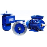 **มอเตอร์มุลเลอร์ Muller Motor 150 แรงม้า 2 โพล แบบหน้าแปลน B5 QY2 QY2