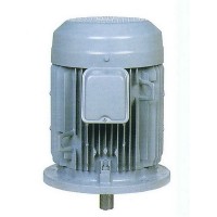 มอเตอร์ฮิตาชิ Hitachi แบบหน้าแปลน 1/2 แรงม้า รุ่น 1/2 VTFO-K(L)