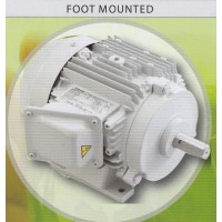 **มอเตอร์โตชิบา TOSHIBA แบบขาตั้ง 3000 รอบ 0.5 แรงม้า รุ่น FT2-0.5HP-L