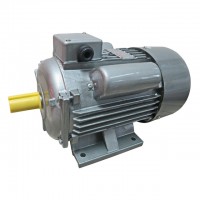 มอเตอร์ไฟฟ้า 1.5 แรง 2 สาย (MO-YC90L-4-1.5HP)